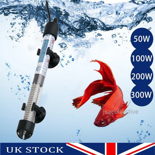 Aquarium marine fish tank - aquarium,