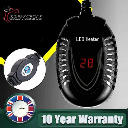 220 240v 100w - 220/240v, small