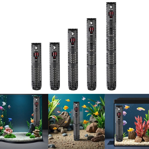 Tropical aquarium fish - tropical, tank